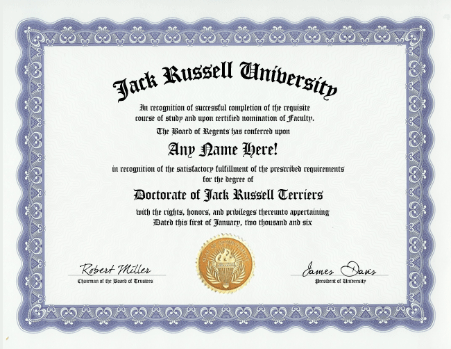 JACK RUSSELL TERRIER DIPLOMA DOG LOVER/ OWNER  GAG GIFT  